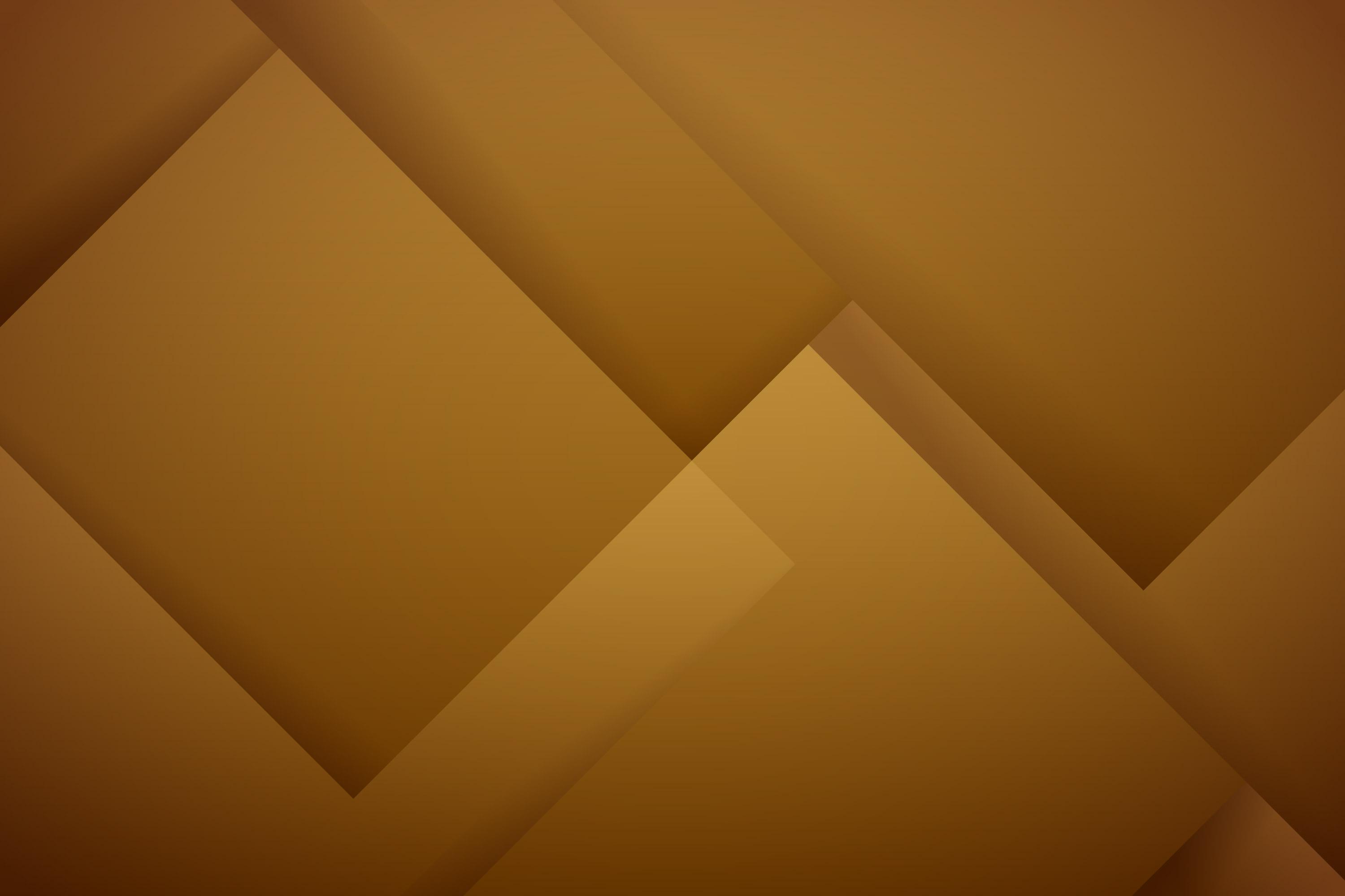 Focused learners engaged in an academy environment